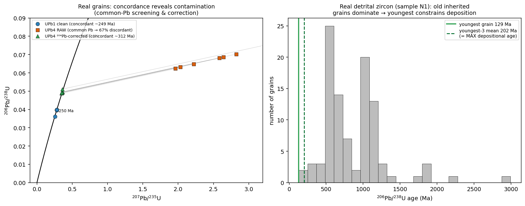 IsoplotR open data: a common-Pb-bearing suite is discordant before correction and concordant after; a detrital population is dominated by inherited older grains.